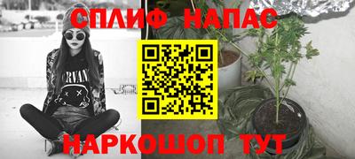 прущие грибы Моздок