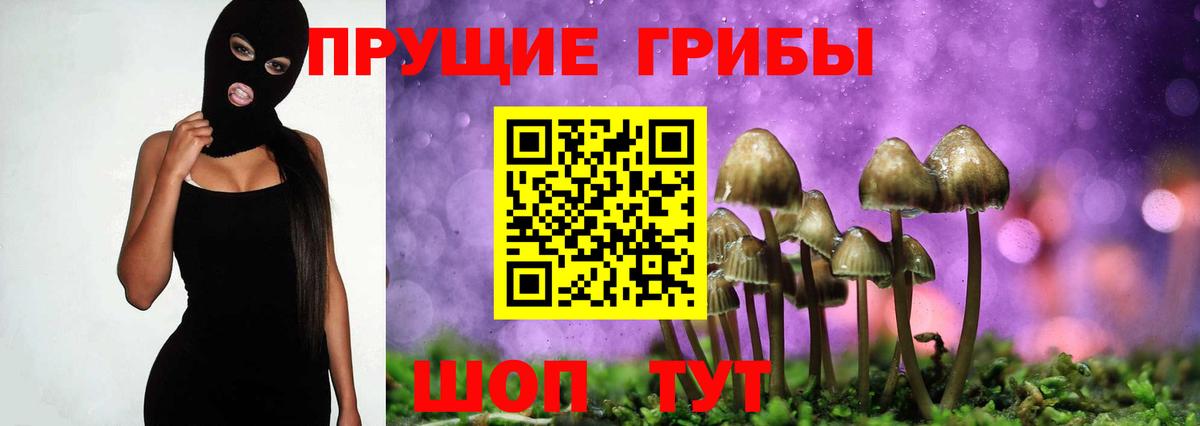 Чусовой  Галлюциногенные грибы GOLDEN TEACHER  Вход с VPN 